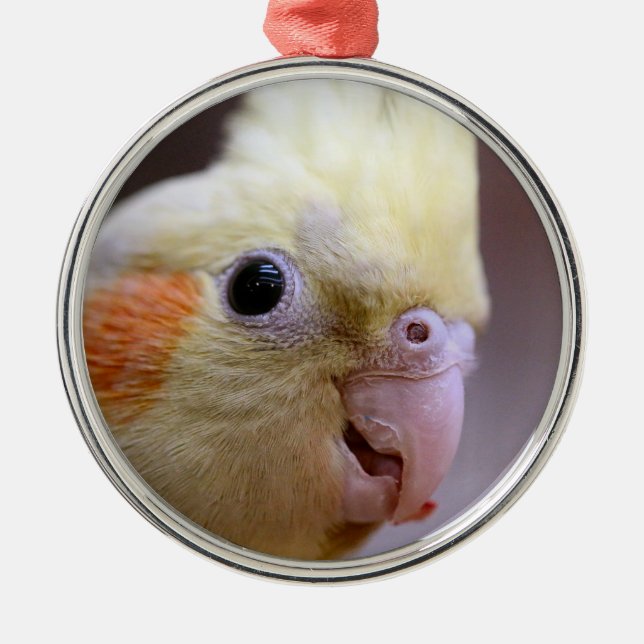 Ornement En Métal Joyeux tiel (Devant)