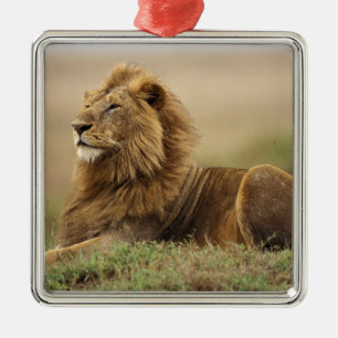 Ornement En Métal Kenya, Masai Mara   Lion mâle
