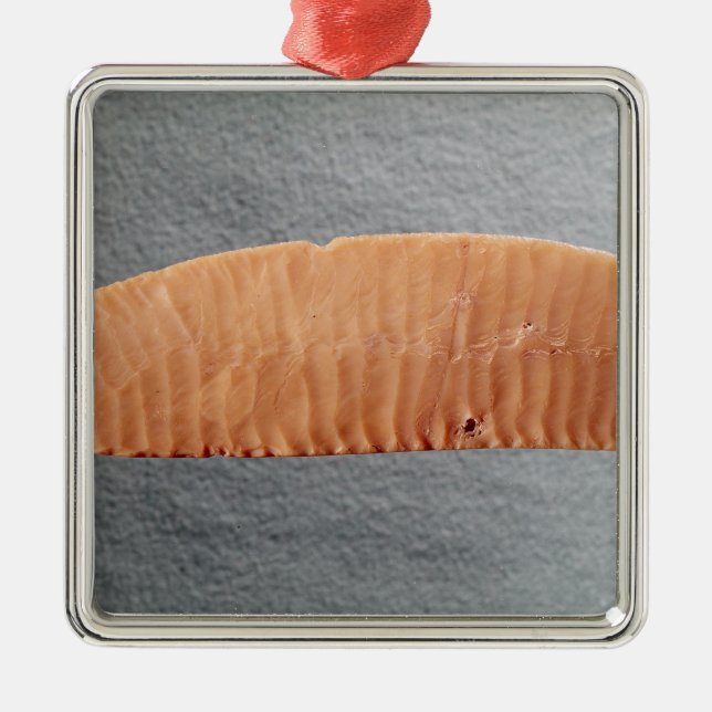 Ornement En Métal Lame de couteau (Devant)