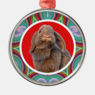 Ornement En Métal Lapin Holland Lop personnalisé Photo Arc-en-ciel A