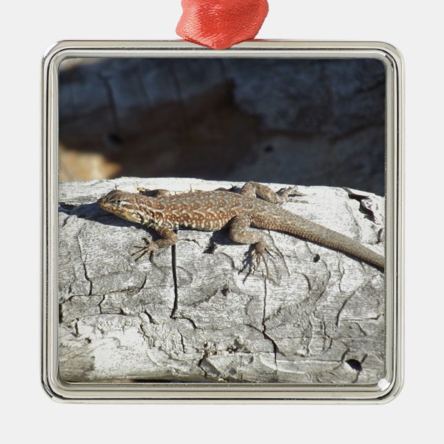 Ornement En Métal Lézard (Devant)