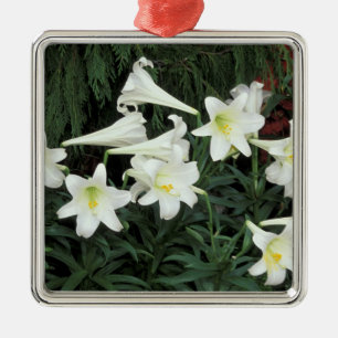 Ornement En Métal Lis de Pâques (Lilium regale)