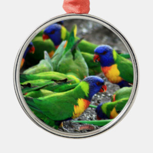 Ornement En Métal Lorikees arc-en-ciel australiens