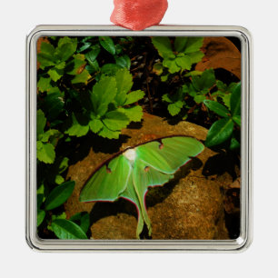 Ornement En Métal Luna verte géante