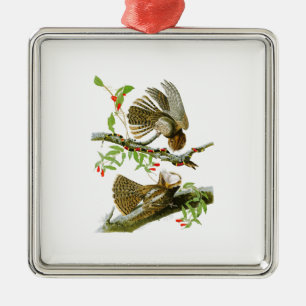 Ornement En Métal Mandrin- Oiseaux de John Audubon de veuve de