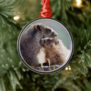 Ornement En Métal Marmotte mère avec bébé