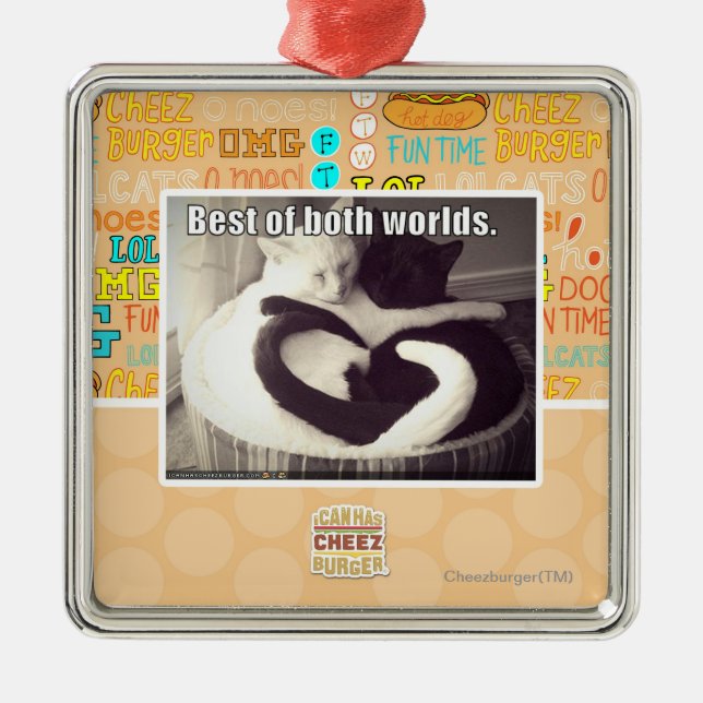 Ornement En Métal Meilleur des deux mondes (Devant)