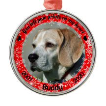 Mémorial personnalisé du chien rouge