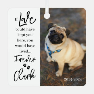 Ornement En Métal Mémorial pour animaux - Perte personnalisée pour a