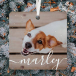 Ornement En Métal Modern Simple Playful Elegant Chic Pet Photo<br><div class="desc">This simple and classic design is composed of serif typography and add a custom photo of your pet.</div>