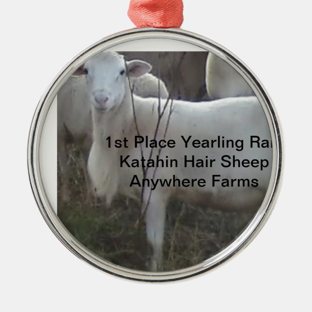 Ornement En Métal Moutons de cheveux de Katahin (Devant)