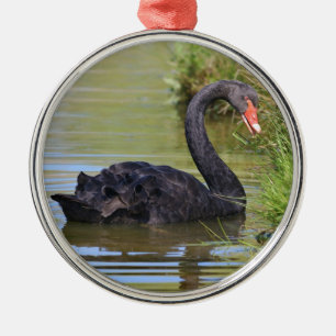 Ornement En Métal Nage noir sur l'eau