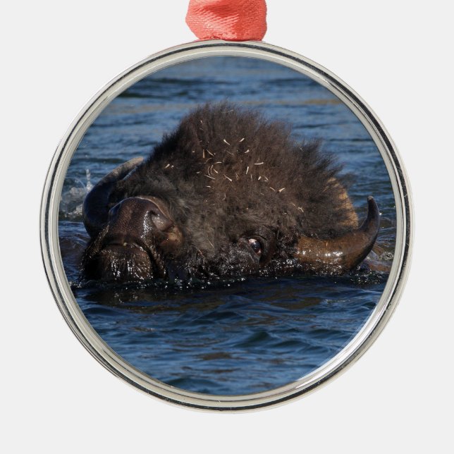 Ornement En Métal natation de bison (Devant)