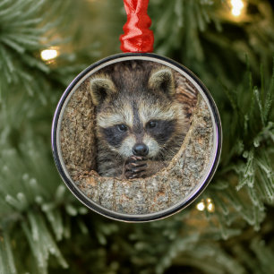 Ornement En Métal Nid de raton laveur niché dans le creux d'un arbre