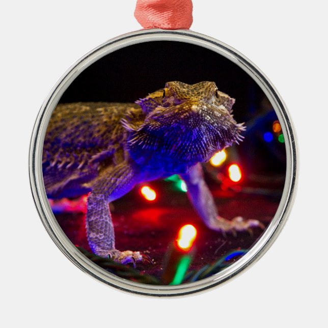 Ornement En Métal Noël Beardie (Devant)