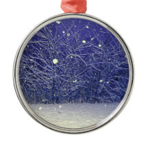 Nuit silencieuse de neige