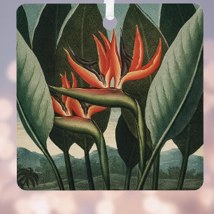 Ornement En Métal Oiseau vintage du Paradis Temple botanique de Flor