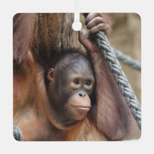 Ornement En Métal OrangUtan 002