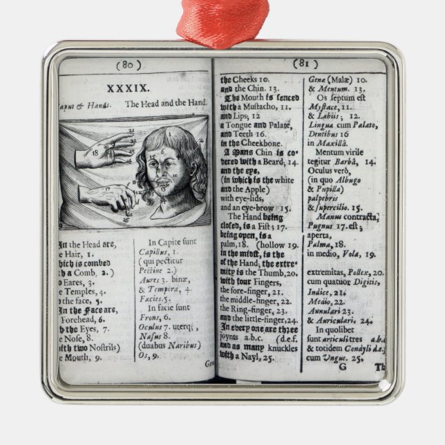 Ornement En Métal 'Orbis Sensualium Pictus (Devant)