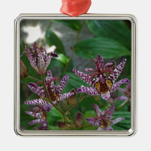 Ornement En Métal Orchidée blanche rayée violette rose comme lys de  (Devant)