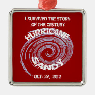 Ornement En Métal Ouragan Sandy