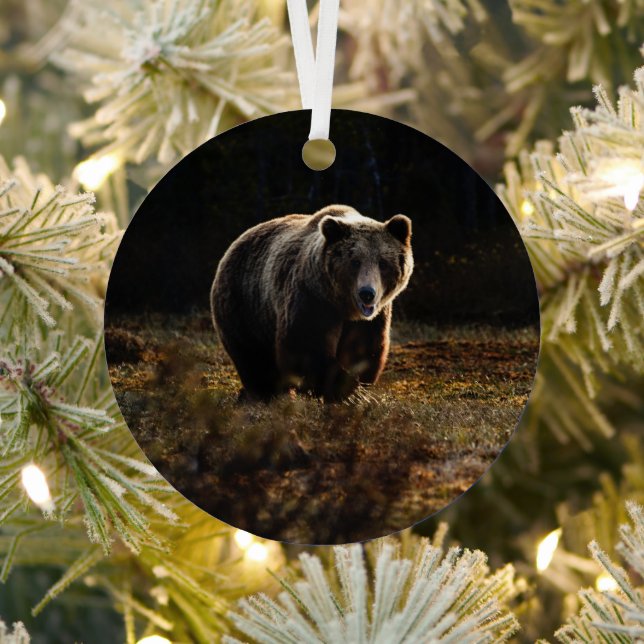 Ornement En Métal Ours (Insitu)