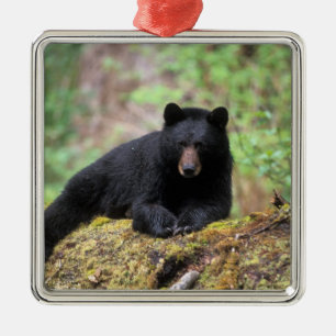 Ornement En Métal Ours noir sur une vieille bille de bois dans la