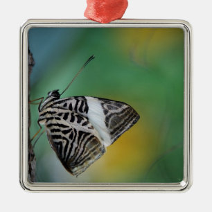 Ornement En Métal Papillon de tigre noir et blanc