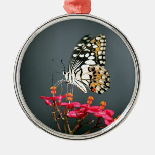 Ornement En Métal Papillon noir et jaune blanc sur Fleurs roses
