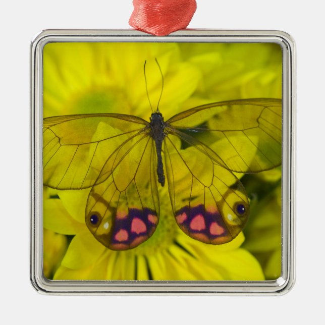 Ornement En Métal Papillon sur jaune (Devant)