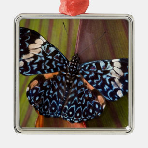 Ornement En Métal Papillon Tropical