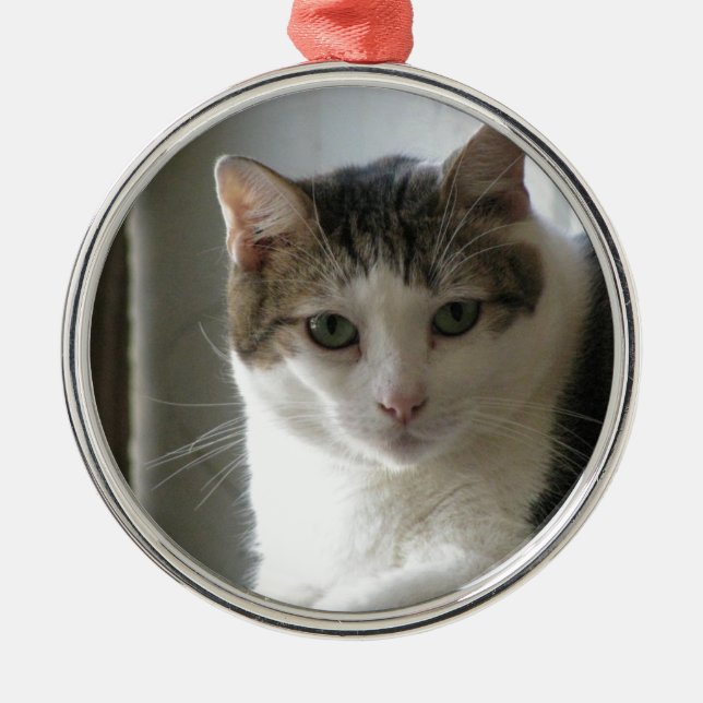 Ornement En Métal Paul (Devant)