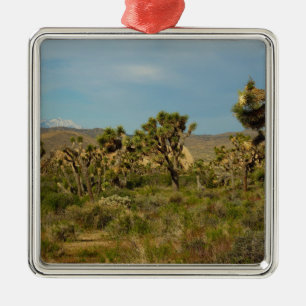 Ornement En Métal Paysage désertique du parc national de Joshua Tree