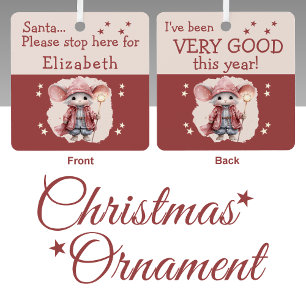 Ornement En Métal Père Noël s'arrêter ici nom mignon souris rose