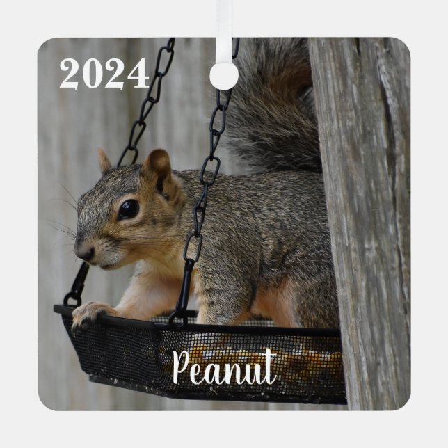 Ornement En Métal Personalized Cute Fox Squirrel (Recto)