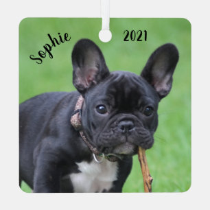 Ornement En Métal Personalized Playful French Bulldog Puppy 