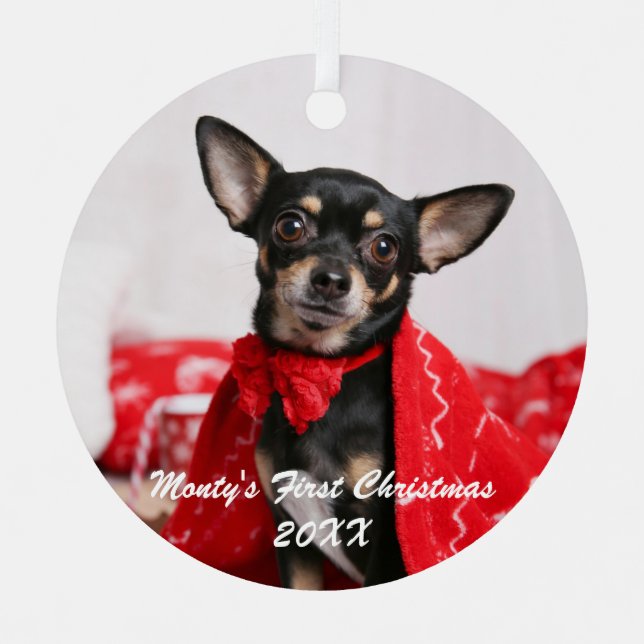 Ornement En Métal Pet First Christmas (Recto)