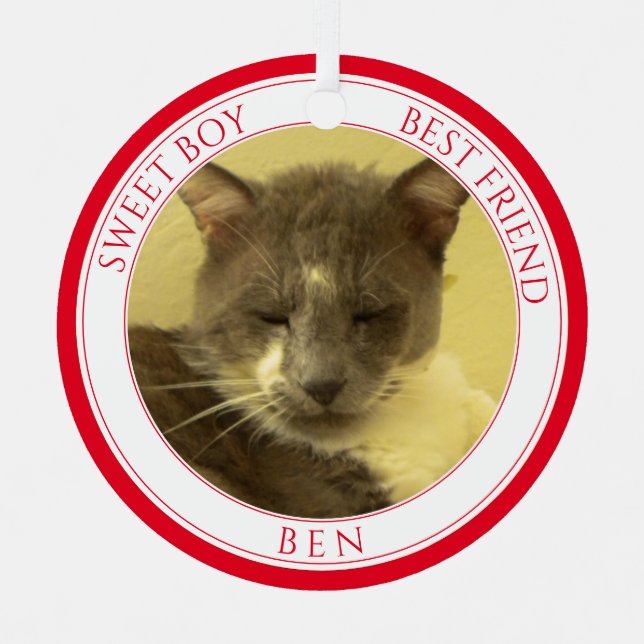 Ornement En Métal PET LOVE Métal Cercle Ornement + Texte / Rouge (Recto)