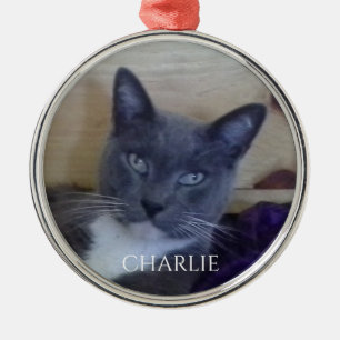 Ornement En Métal PET LOVE Premium Round Orament
