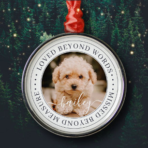 Ornement En Métal Pet Memorial Love Beyond Words Elegant Chic Photo