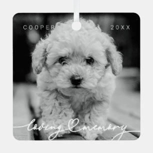 Ornement En Métal Pet Memorial Love Memory Simple Photo moderne