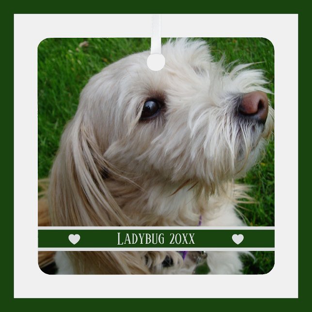 Ornement En Métal Pet Photo Ornament with Custom Name and Year (Créateur téléchargé)