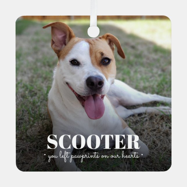 Ornement En Métal Photo commémorative du chien (Recto)