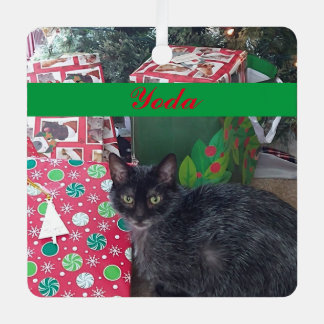 Ornement En Métal Photo de animal de compagnie personnalisée Vert Ro