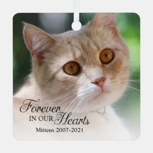 Ornement En Métal Photo de chat pour toujours dans nos cœurs