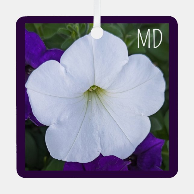 Ornement En Métal Photo de Fleur Blanche Beauté pour Ashes Bible Ver (Recto)