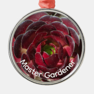 Ornement En Métal Photo de succulente du désert Master Gardener Noël
