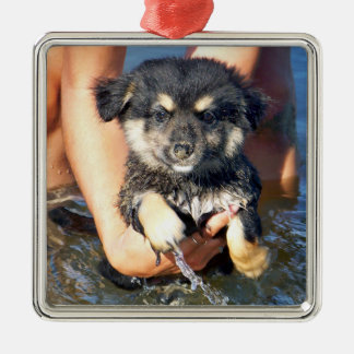Ornement En Métal Photographie pelucheuse mignonne de chiot