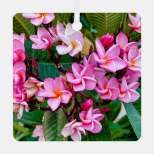 Ornement En Métal Pink Plumeria