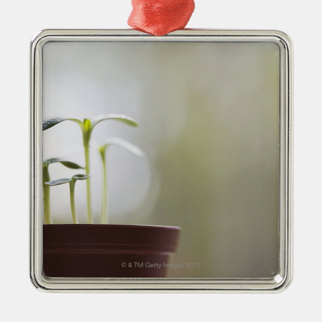 Ornement En Métal Plantes de tournesol poussant dans le pot 2 (Devant)